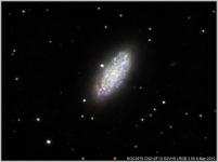 NGC2976