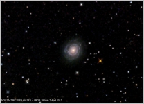 NGC3147
